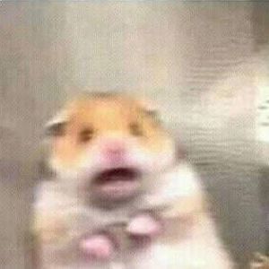 Meet your Posher, Zoe